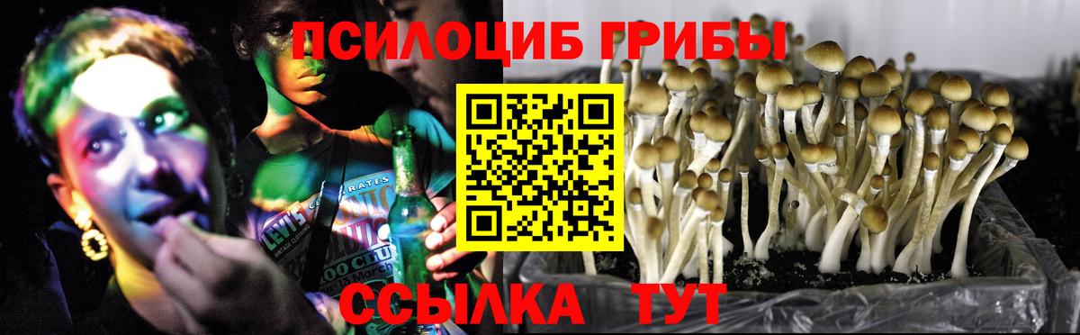 Сыктывкар  Галлюциногенные грибы мицелий  Вход с VPN 